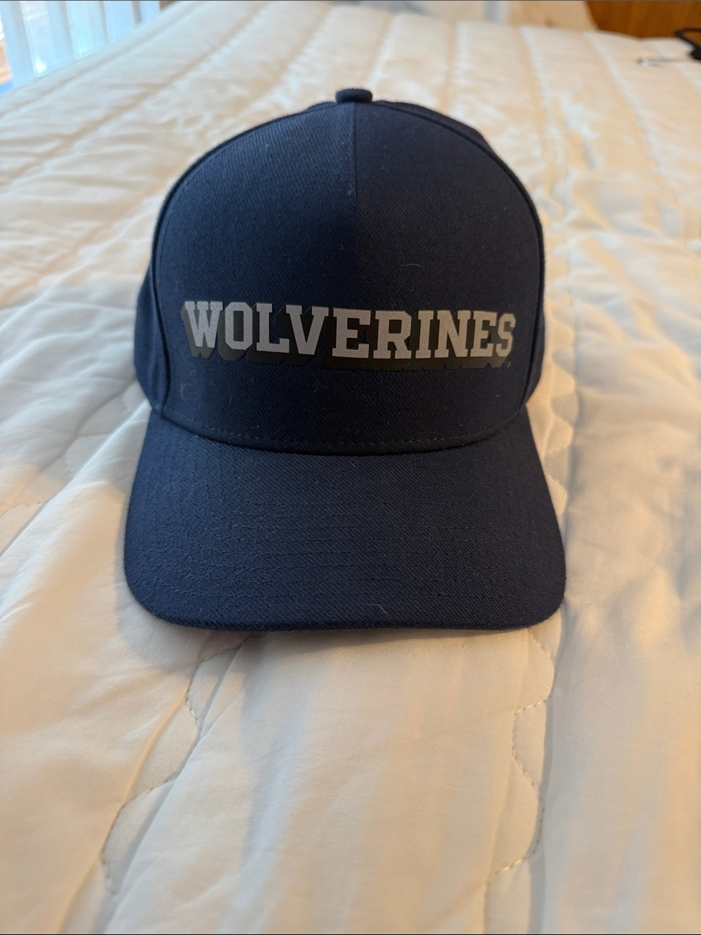 Michigan Wolverines Hat